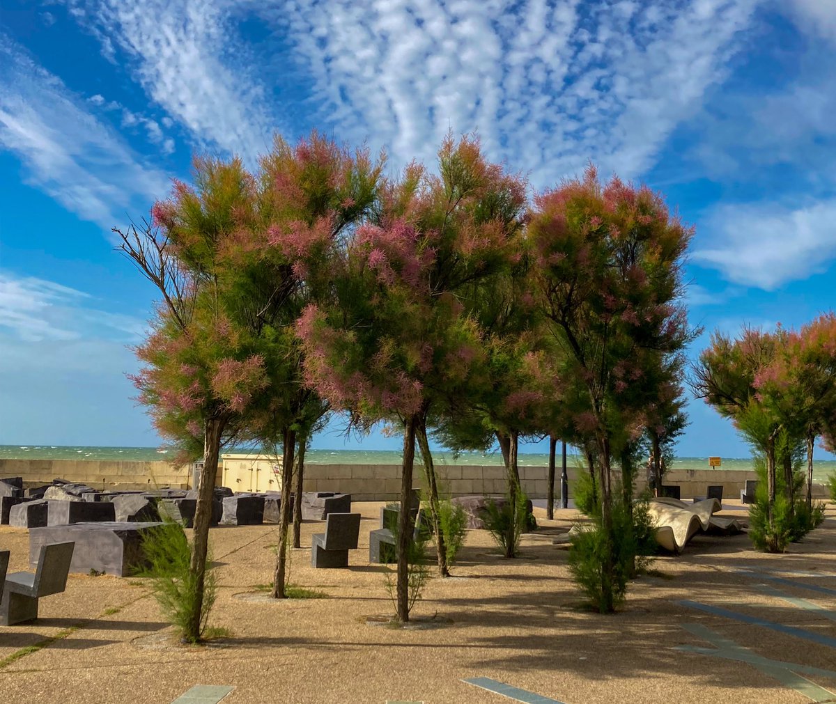 Worthing Minigolf tweet media