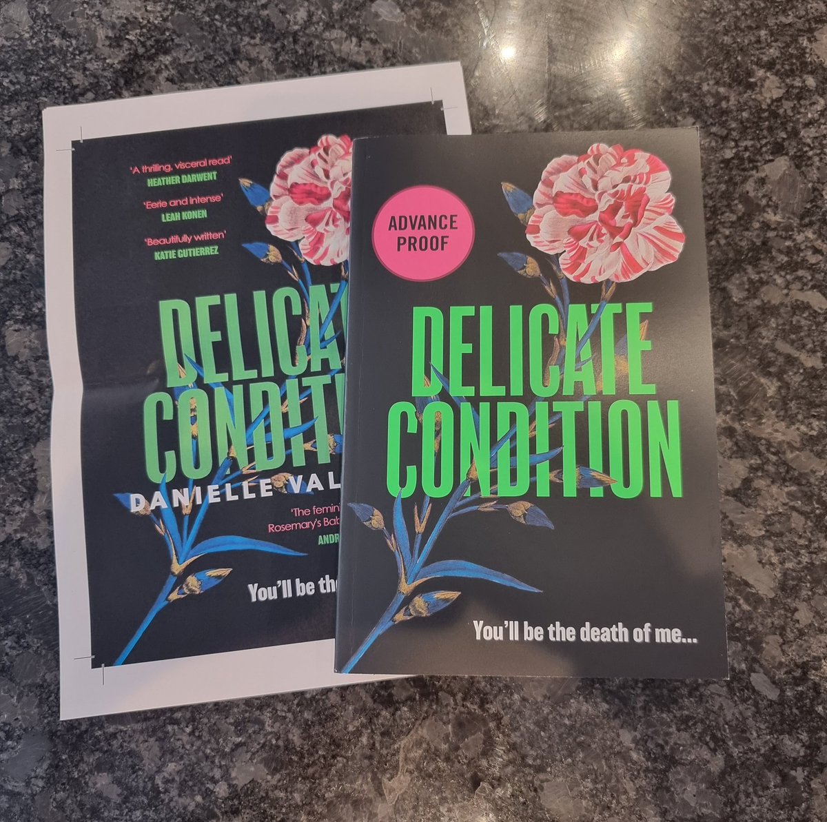 Thank you so much @RachelMayQuin for this stunning proof copy of #DelicateCondition @dvalentinebooks
I can't wait to read this!
Published 17th August 
#books #bookbloggers #BookTwitter