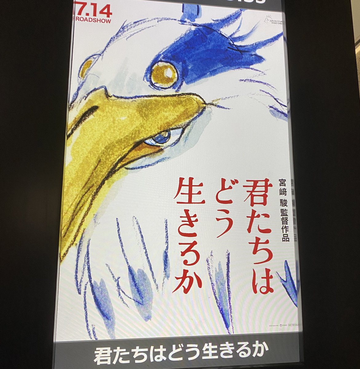 みた。 