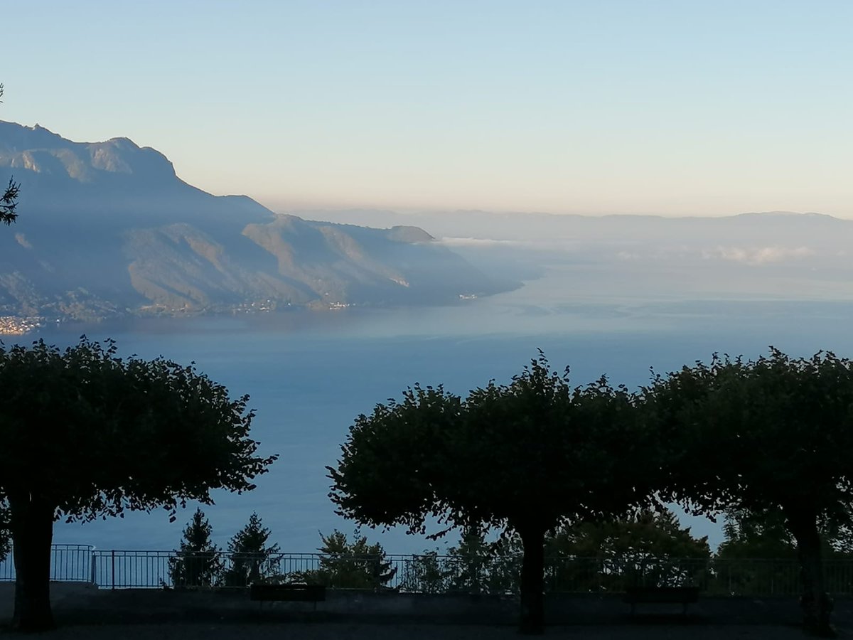 Caux Initiatives of Change Foundation tweet media