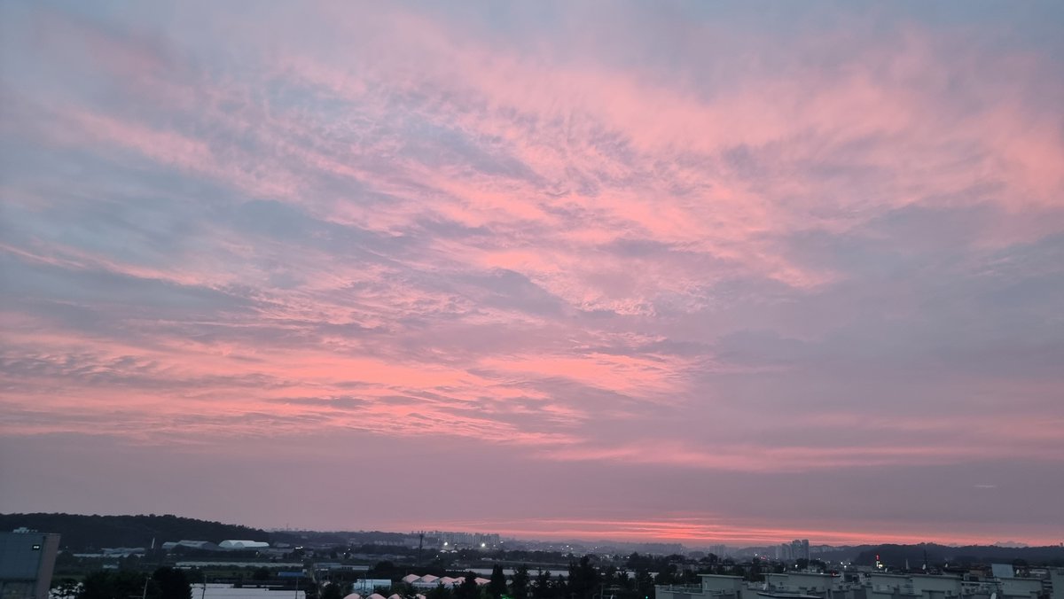 꽃희ㅋl tweet media