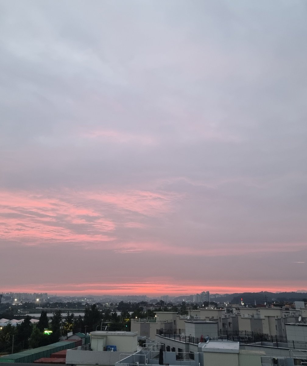 꽃희ㅋl tweet media