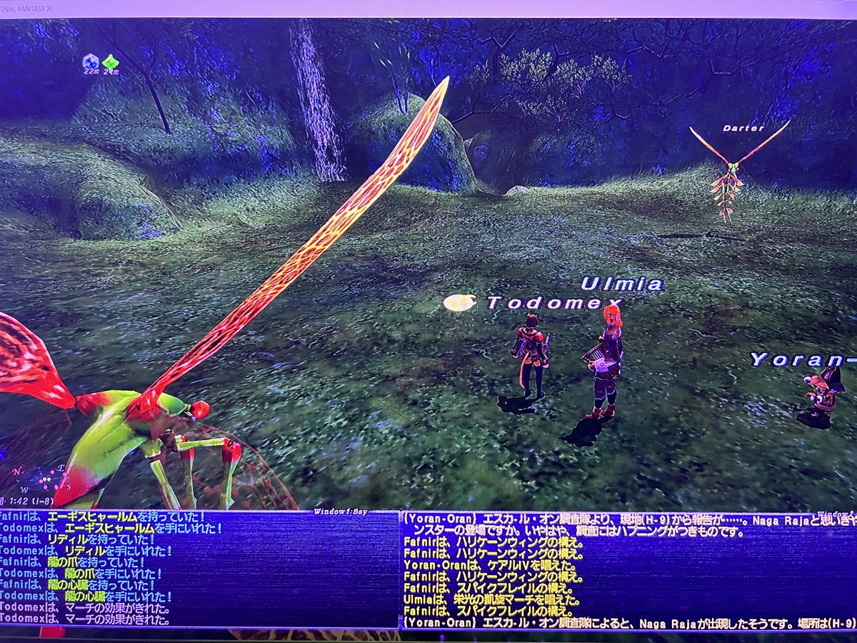 todomex's tweet image. よっしゃー🙌
やっとリディル落ちた😆

#FF11 #FFXI #fafnir