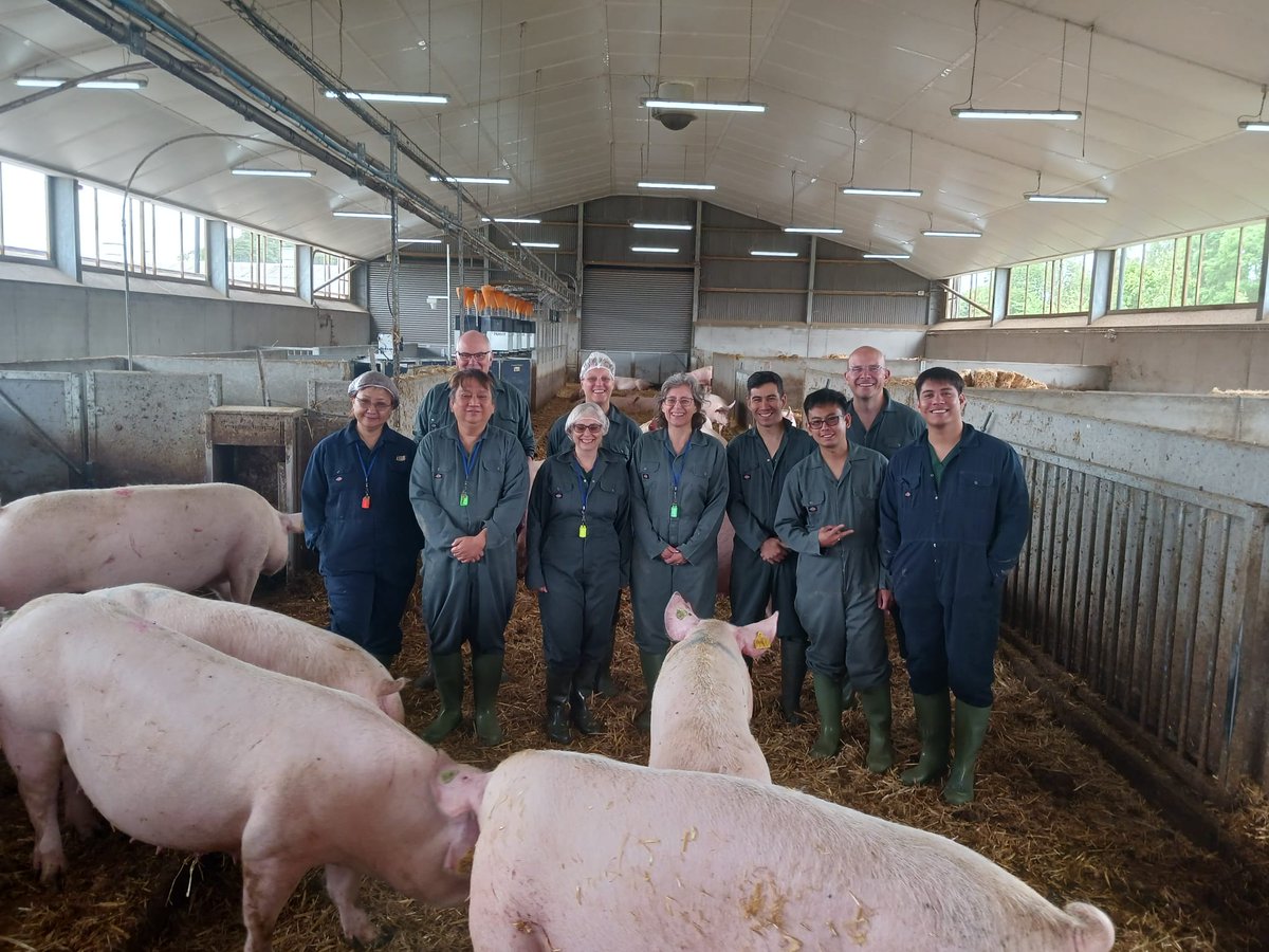 AHDB_Pork's tweet photo. Last week we hosted buyers from Qatar, Kuwait, Philippines, UAE, Canada, USA and Mexico as they explored British farming. The trip included visits to farms, processors and the Great Yorkshire Show. Thanks to @UniversityLeeds for opening their pig unit to our visitors #AHDBexports https://t.co/VKbCuCwbHO