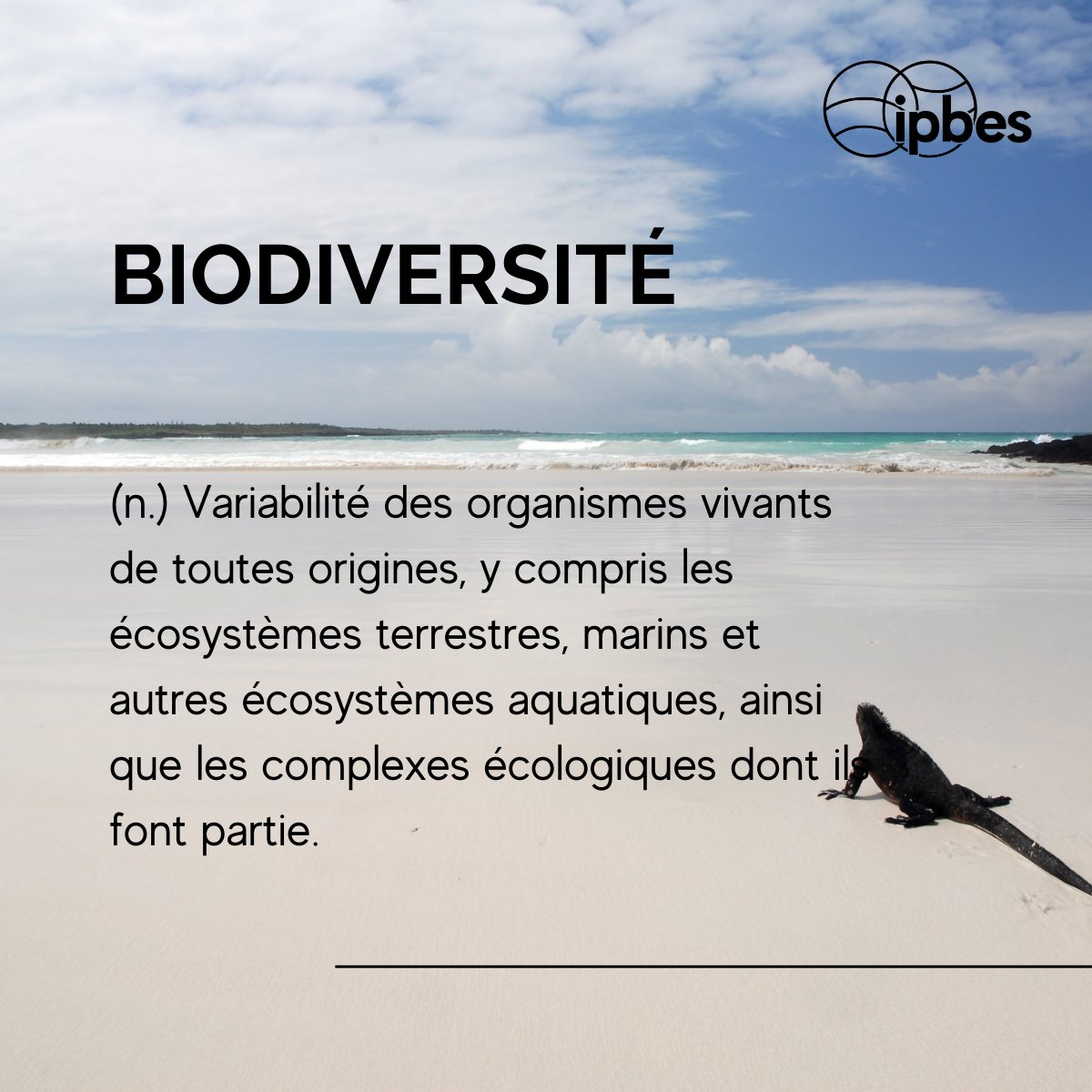 📗Lexique de la nature : Dévoiler le langage énigmatique de la #biodiversité🌱

#LeSaviezVous ...?

➡️La biodiversité est la toile de la vie
➡️La biodiversité est la tapisserie complexe des espèces

Mais quelle est la définition réelle de la biodiversité?🤔

Selon l'<a href="/IPBES/">ipbes</a>⬇️