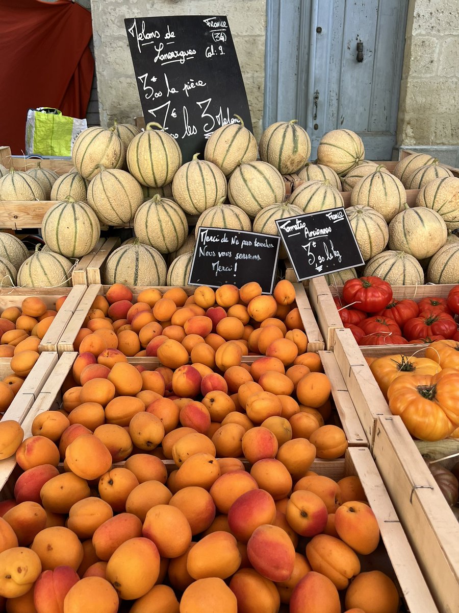 Prof Corinne Caillaud tweet media