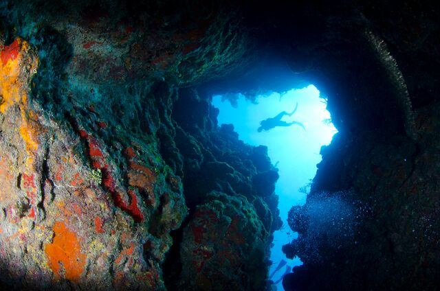 MiDiarioBuceo's tweet photo. En Islas Caimán cada día del año es una oportunidad para descubrir un lugar diferente para bucear https://t.co/vluK11TiNU https://t.co/XdOpASOpu0