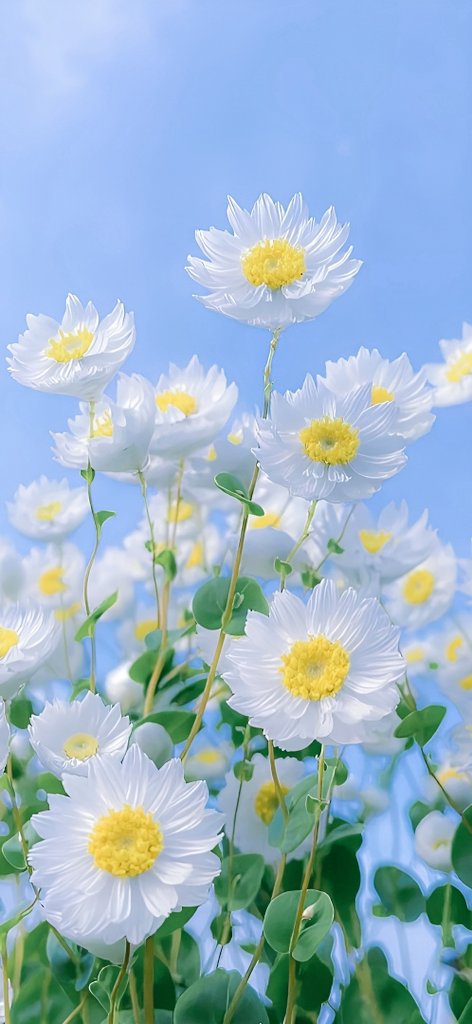 Среќна и успешна нова недела!