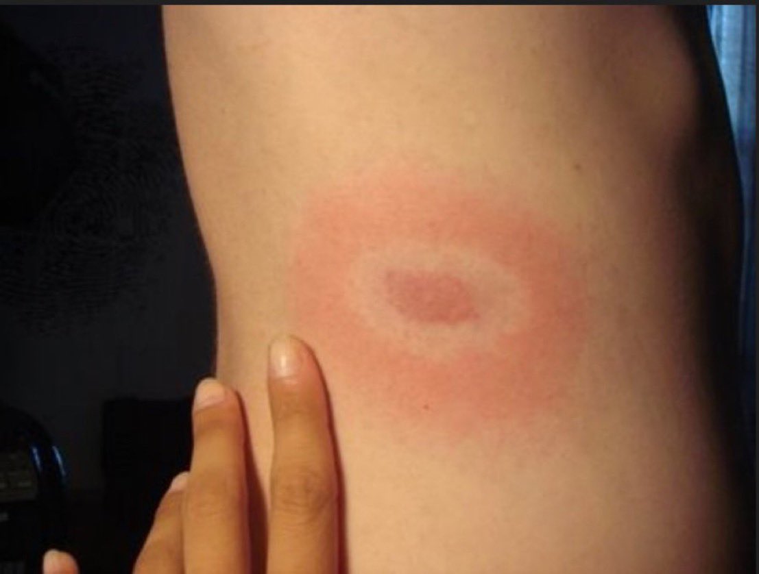 Journal of Brown Hospital Medicine tweet media