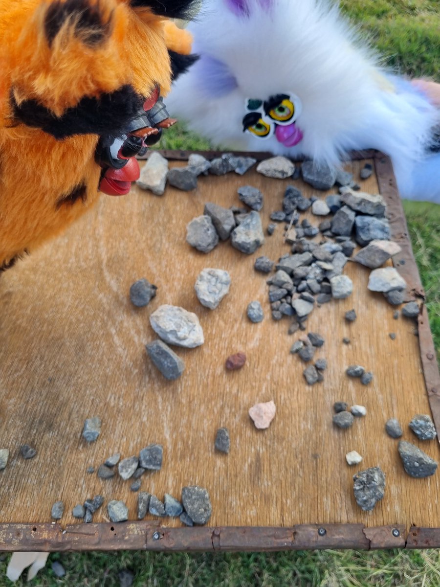 ғᴜʀᴇᴠᴇʀ ᴄᴜʀsᴇᴅ tweet media