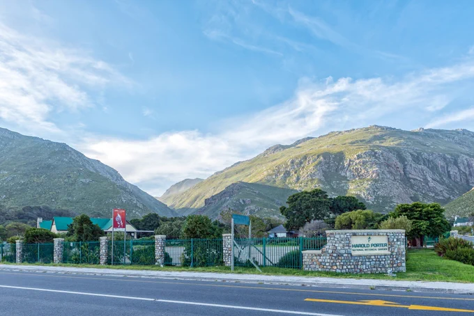 Image from Kirstenbosch Garden - Official (@KirstenboschNBG)