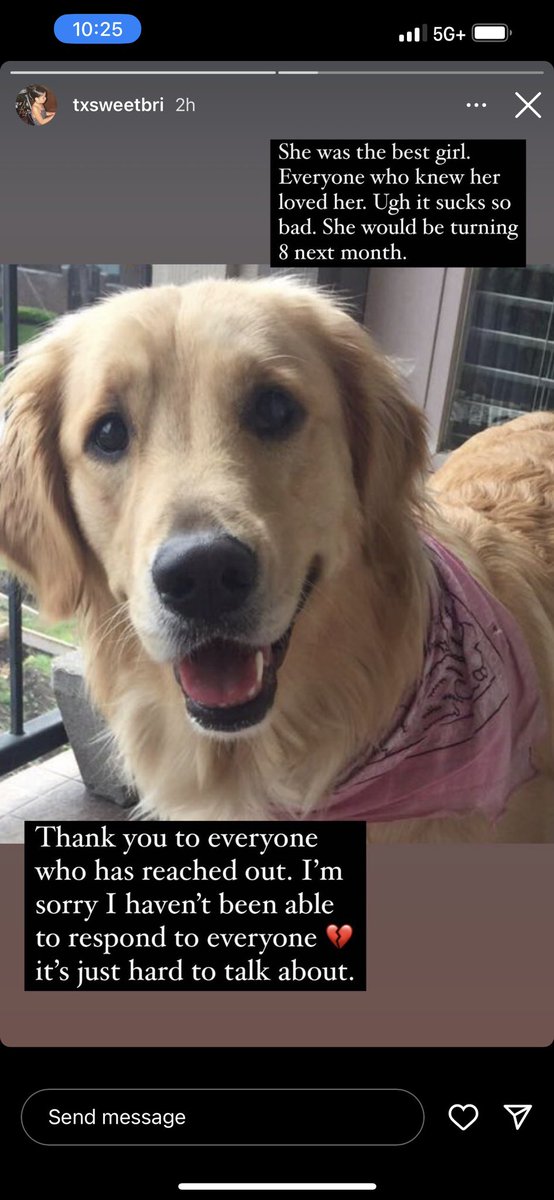 gnalace12's tweet photo. @thefestivefarm This sweet baby had be be euthanized unexpectedly on 3 days ago and we are all so heartbroken. Rest in peace, Dallas. You are sorely missed. https://t.co/T7BAvTuQNx