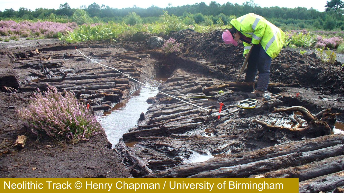 Its #BogDay this Sunday! Peatlands can be a treasure trove of history! The same conditions that make them excellent carbon stores also make them excellent preservers of the past that can tell us about past climate &amp; land use and contain buried artifacts or even bog bodies!