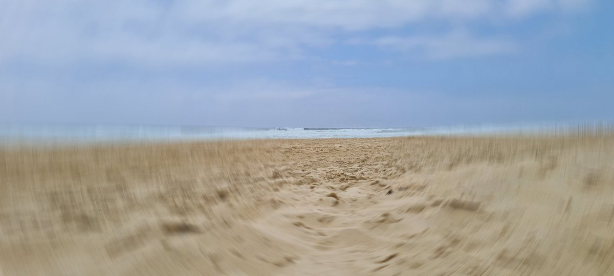 PROLOG_TEAM's tweet photo. 🏄‍♂️Urlaubszeit = Erholungszeit 🏖

Ich wünsche unseren Mitarbeitern, Kunden, Geschäftspartnern eine schöne Urlaubszeit. Eine wertvolle Zeit mit der Familie, Freunden und Bekannnten. 

Gute Erholung und viel Abwechslung.

#urlaub #sonne #entspannung #familie #spass #freizeit https://t.co/AbzBC4Zfyr
