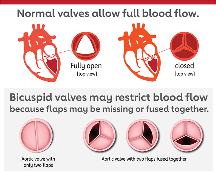 Ellie_P25's tweet photo. Journal of Basic and Clinical Cardiovascular Research
https://t.co/FJZkVltNpC
Submit your manuscript at: editorialoffice99@gmail.com
#cardiology #cardiovascular #hearthealth #heartdisease #preventions #submissionopen #submitmanuscript #retweet https://t.co/dmbpC9V7o3