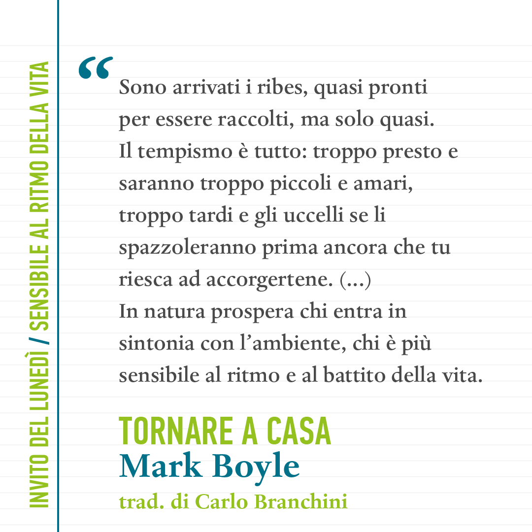 minimumlab's tweet image. L&apos;invito per questo lunedì è di imparare quando rallentare e quando cogliere l&apos;attimo, e di coltivare la sensibilità per il ritmo e il battito della vita.
Buona settimana 🦜
#InvitoDelLunedì