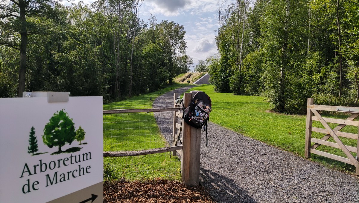 EmilieMontreal's tweet photo. [Charme du #lundifleuri] à Marche-en-Famenne en #WallonieCherie 🥰🇧🇪
J'ai posé mon sac à dos au cœur du tout récent arboretum 🌳 offrant une des plus belles terrasses avec vue sur la #Famenne que j'aime tant ! 🙂
#wallonienature 💚 #naturelovers #visitwallonia https://t.co/jbk13XpBlP