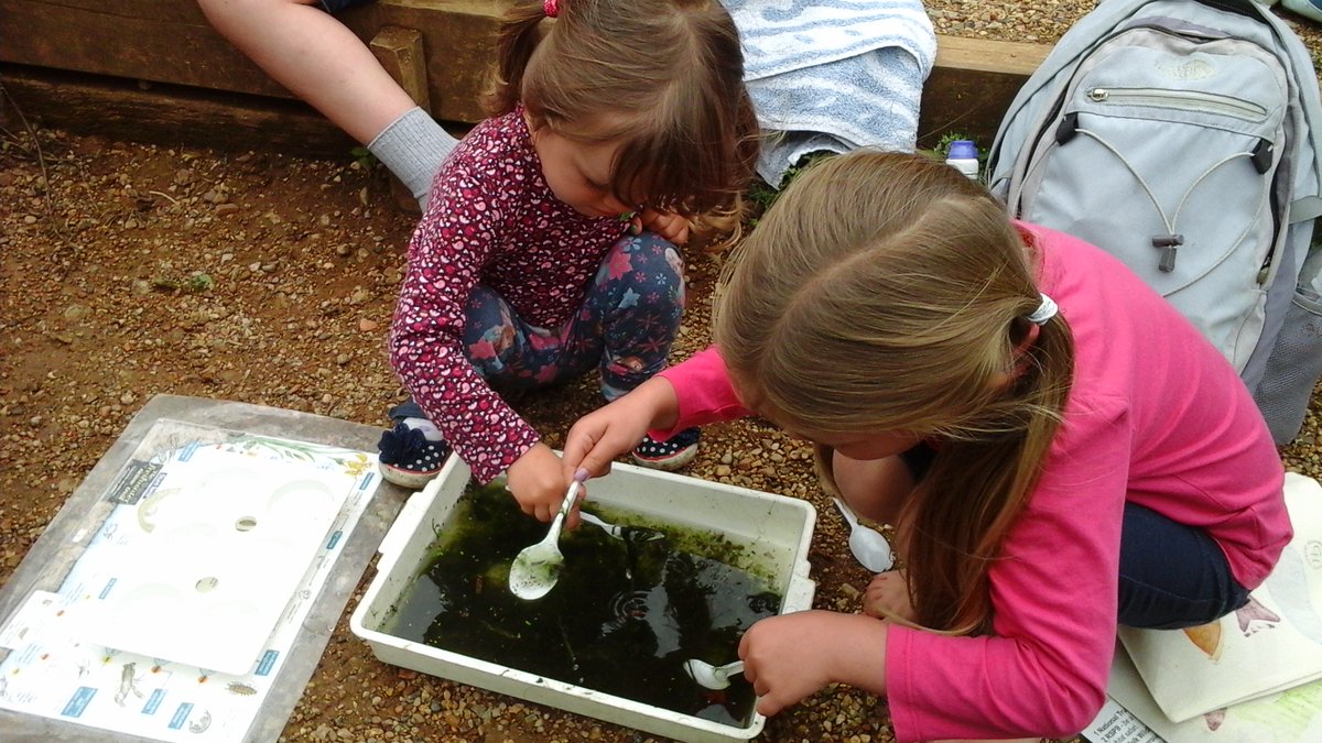 Fancy a dip? Have a go with our pond dipping activity at 10-11am to explore freshwater wildlife at Flatford Mill🐌
Drop in at FSC Flatford Mill on Saturday 22nd July for our annual #BioBlitz 
#flatfordmill #nature #summer #wildlife #pond #freshwater #suffolk