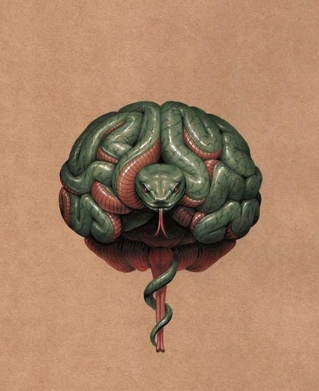 Rebecca 🌙 tweet media