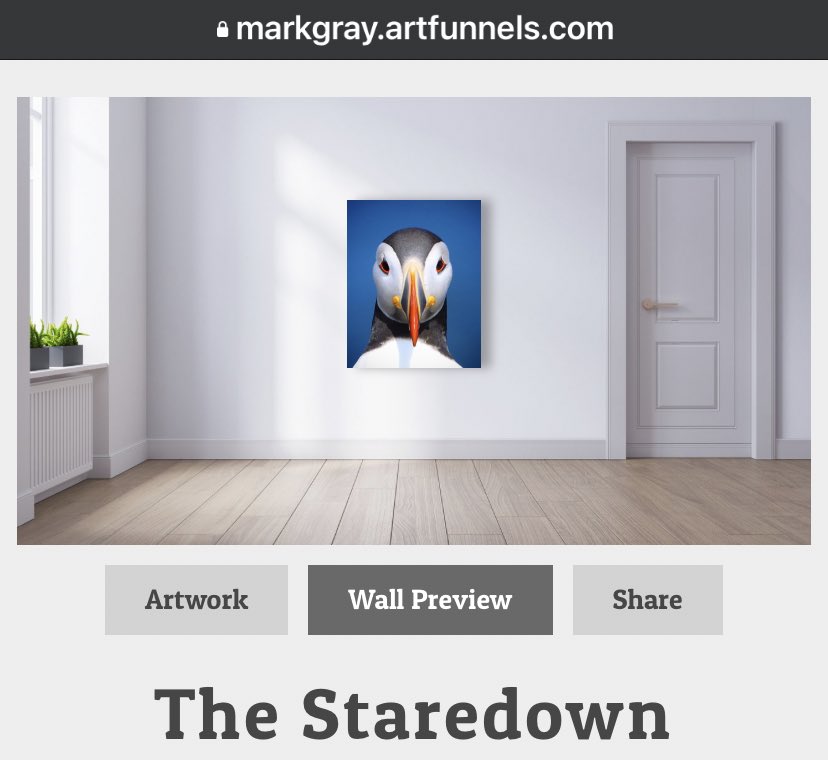 GrayMarker99's tweet photo. I set up shop a few weeks ago! These are just a few of my photos that would look great on your wall 😉!
I’ll be adding more to my site in coming days. https://t.co/Ml4QeS9NGW