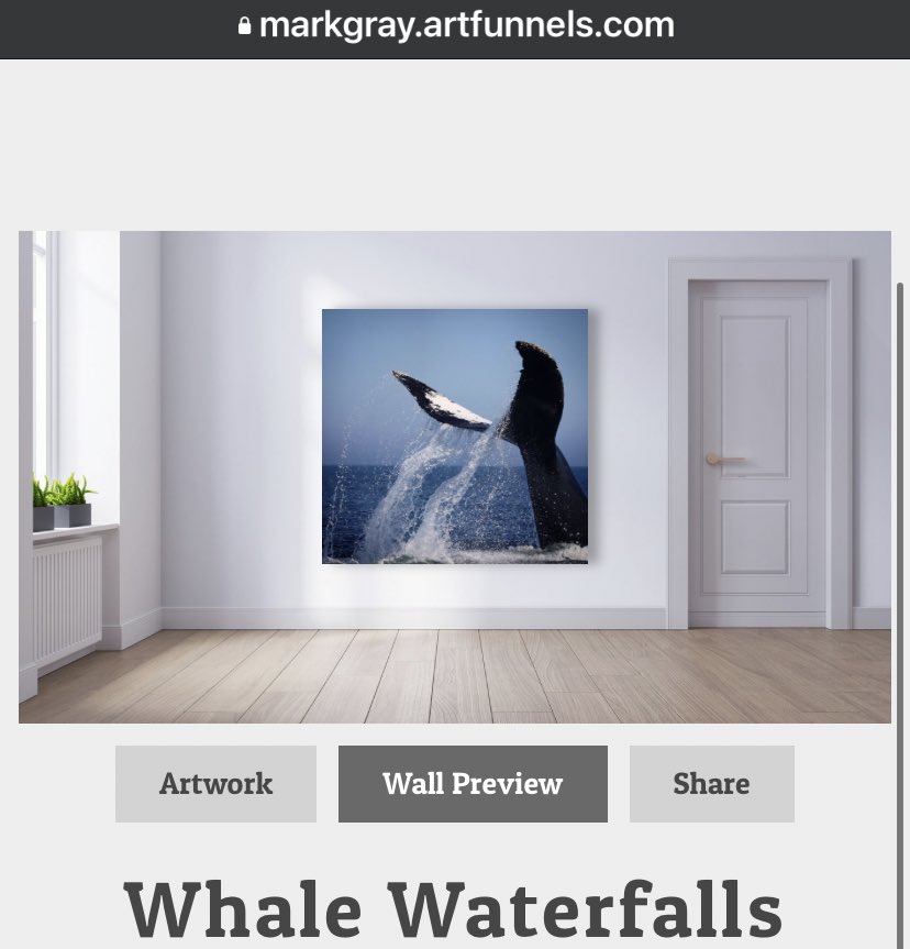 GrayMarker99's tweet photo. I set up shop a few weeks ago! These are just a few of my photos that would look great on your wall 😉!
I’ll be adding more to my site in coming days. https://t.co/Ml4QeS9NGW