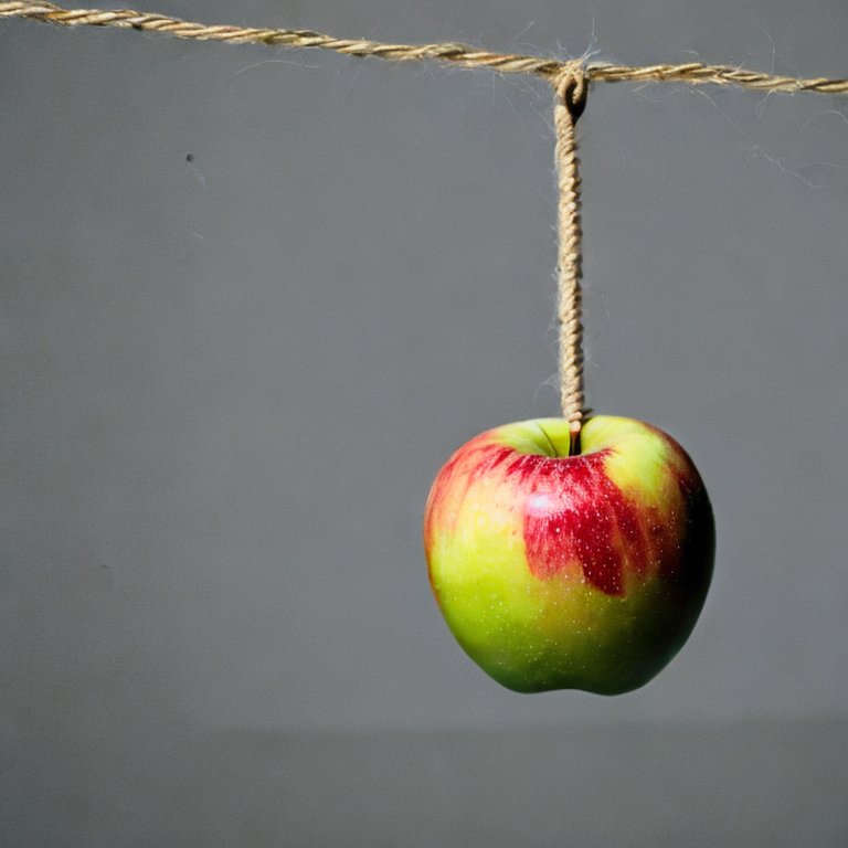 ProductSafetyLt's tweet photo. APPLE ON STRING
Today's topics ( https://t.co/lbVQQPeu7D ) - talc, recalls, lead, gas stoves https://t.co/70pMQKF2Fx