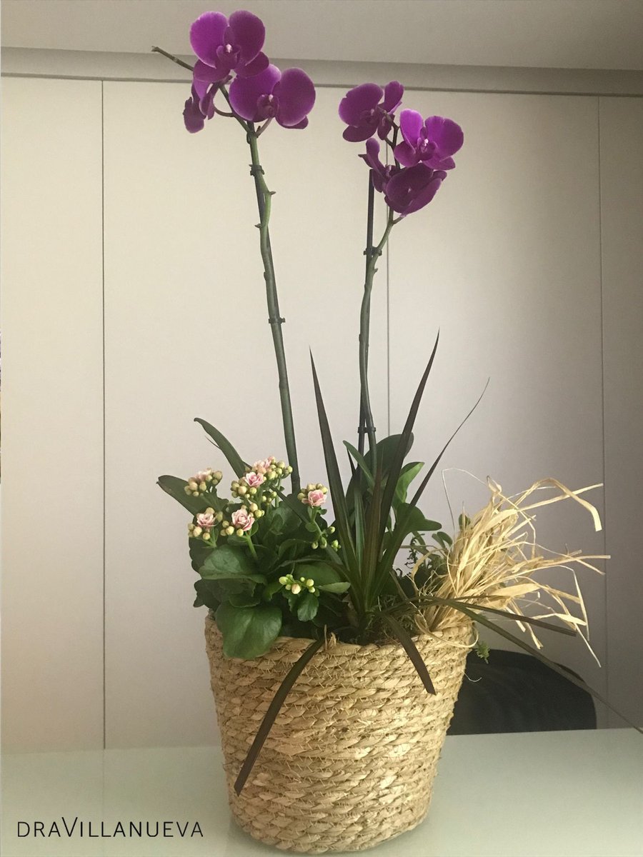 ¡Cómo nos gustan las flores💐! Mi equipo y yo agradecemos estas bonitas muestras de cariño tanto a nuestros pacientes como a doctores que han asistido a cursos en mi clínica.
*En esta ocasión comparto los regalos de Quim Girbau, Marisa, y las doctoras Itxaso y Alexia. 
#gracias