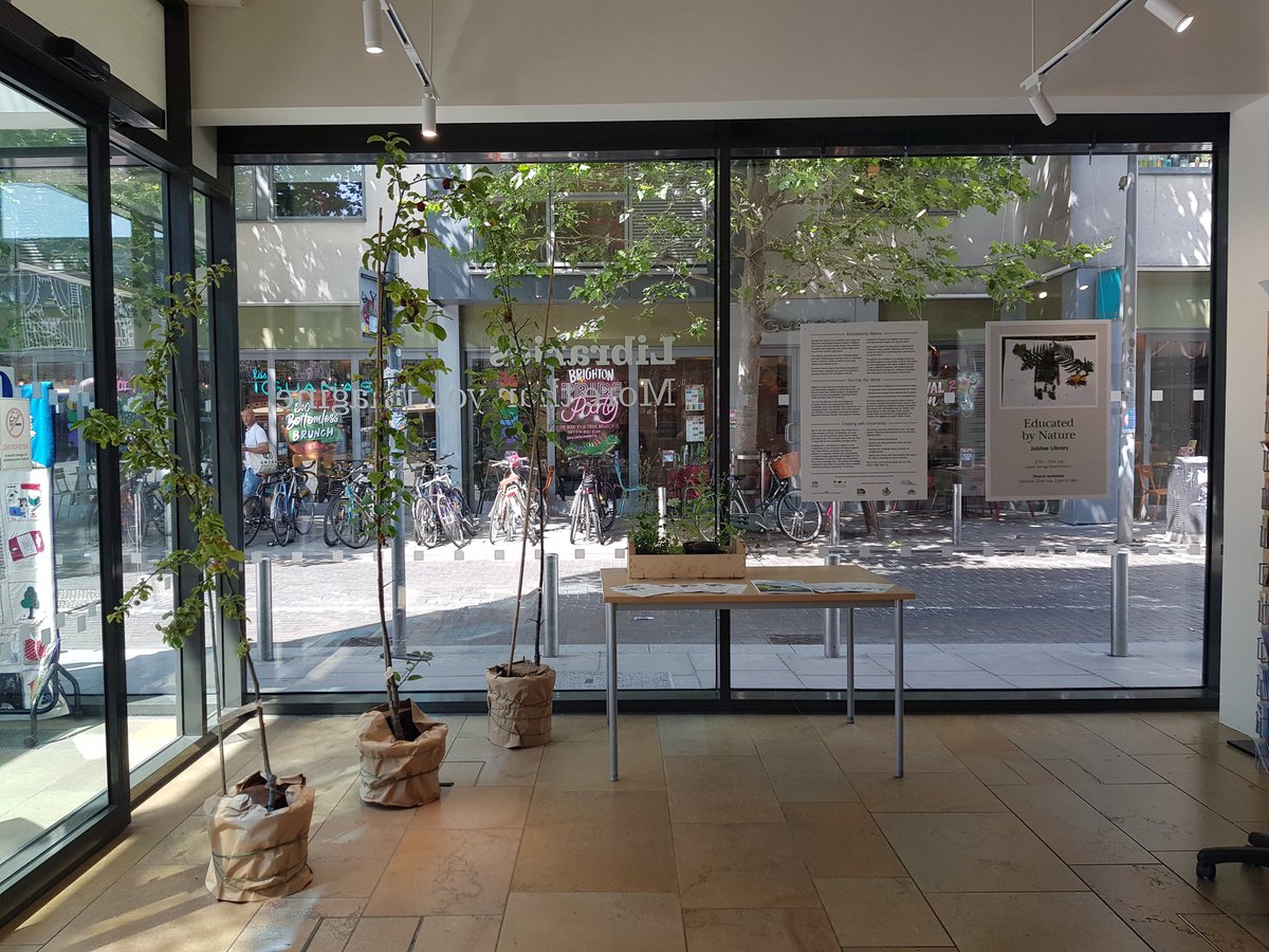 TRANSFORM-iN EDUCATION tweet media