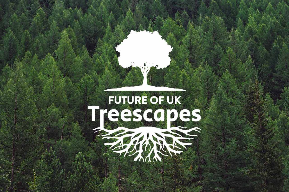 Institute of Chartered Foresters (@theicf) on Twitter photo Funded by <a href="/NERCscience/">Natural Environment Research Council</a>, Round 2 of the Treescapes Fellowship Scheme is now open for applications until 29 September 2023.
They are seeking Fellows to fill research gaps in:
👉productive forestry
👉tree health
👉woodland expansion
Find out more: charteredforesters.org/call-for-trees… Funded by <a href="/NERCscience/">Natural Environment Research Council</a>, Round 2 of the Treescapes Fellowship Scheme is now open for applications until 29 September 2023.
They are seeking Fellows to fill research gaps in:
👉productive forestry
👉tree health
👉woodland expansion
Find out more: charteredforesters.org/call-for-trees…