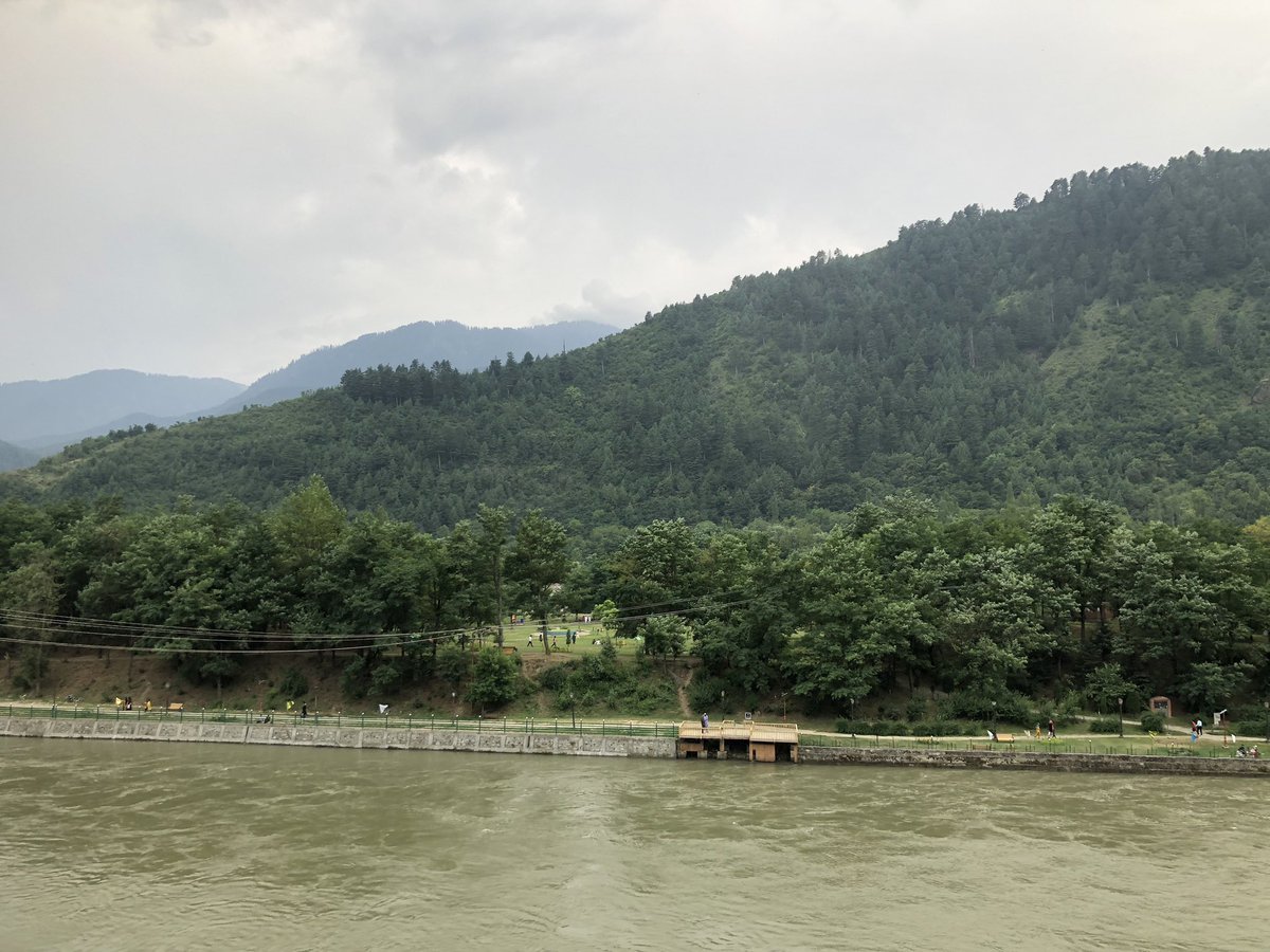 Al__Ibrahim's tweet photo. River jehlum and the trees 🌲 https://t.co/QFRs4uUEoy