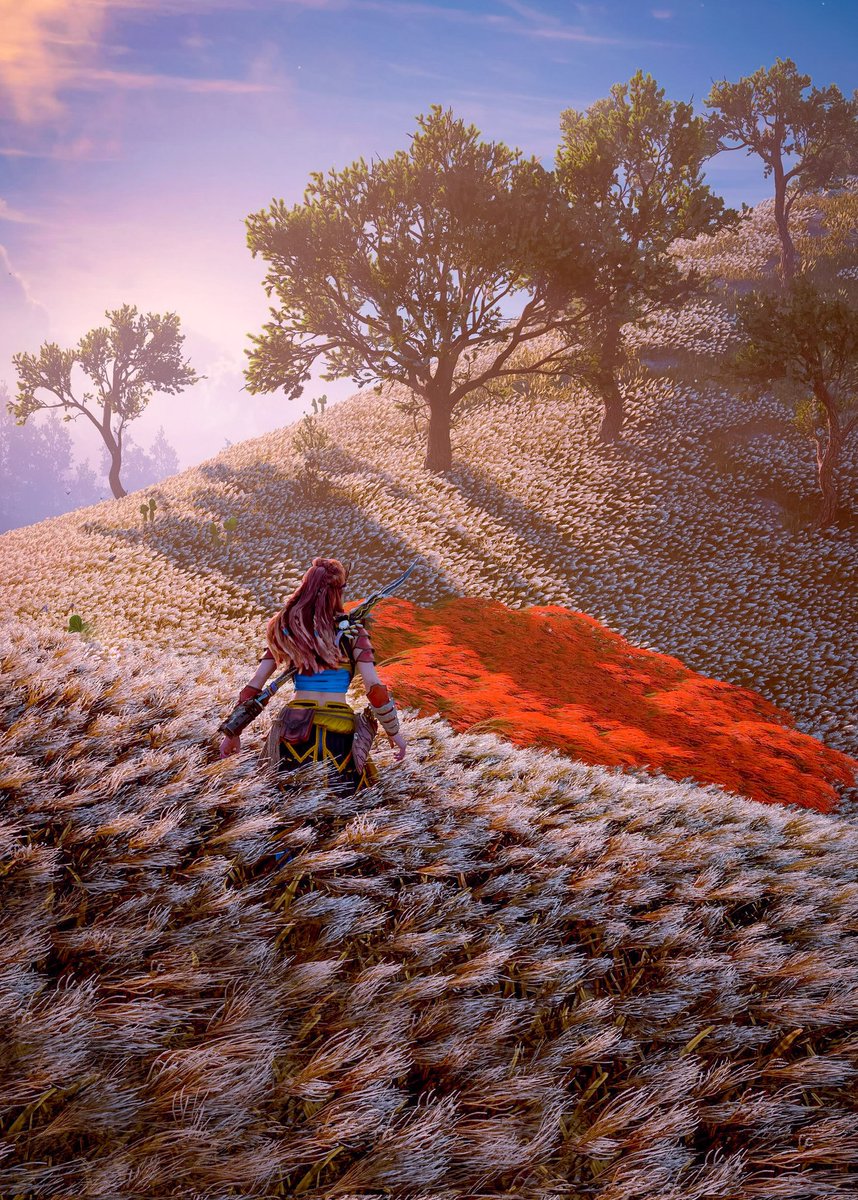 Horizon Forbidden West 

#VirtualPhotography 
#HorizonForbiddenWest