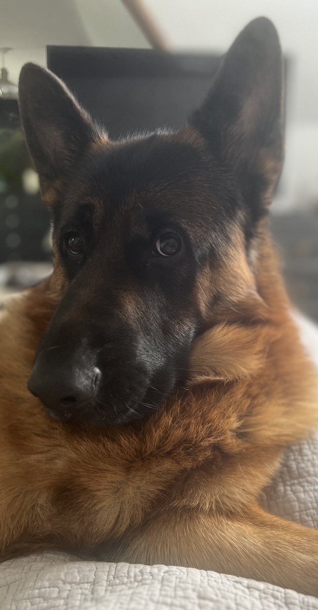 Joanna Cannon tweet media