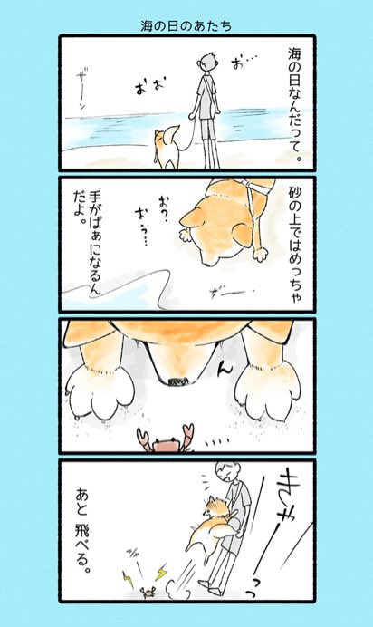 海の日と聞いて‼️ぱぁになるのかわいいが過ぎませんか…💕(再掲)