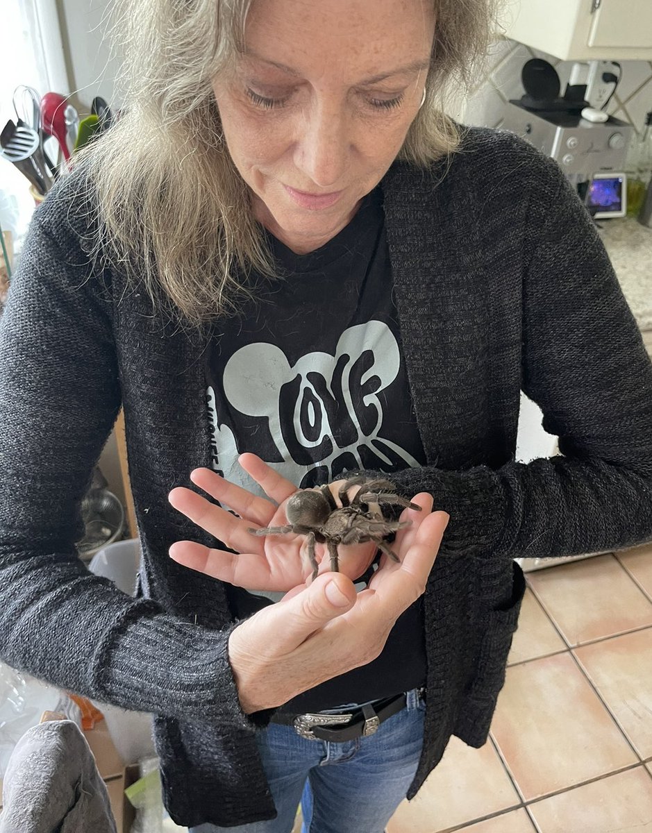 MoontideGal's tweet photo. Meet my beautiful new friend Bethesda! ๐ท๏ธ ๐ธ๏ธ Sheโs showing me how to go expert level with the spidey sense. ๐ท๏ธ๐ธ๏ธ๐๐๐ #spidergirl #spiders #spider #tarantula #dontjudge #justsayhi #critter #animalhandler #animallover #notplaying #spideysense #animalsoftwitter #insects #notscairt https://t.co/7eYVrZLQUh