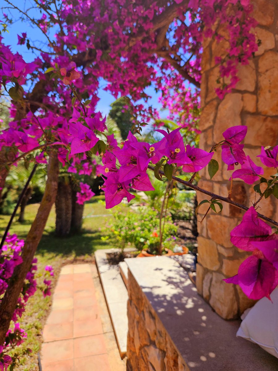 art_arlo ✏️ tweet media