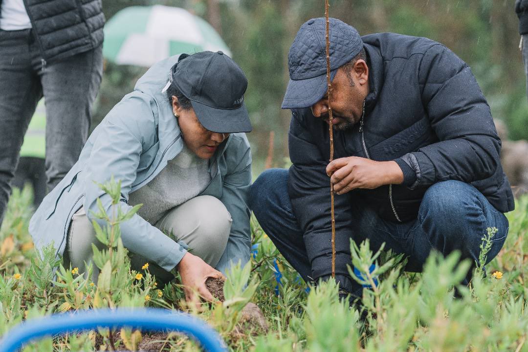 እኛ ጀምረናል! እናንተስ? 

We have began planting! What about you? 

#GreenLegacy