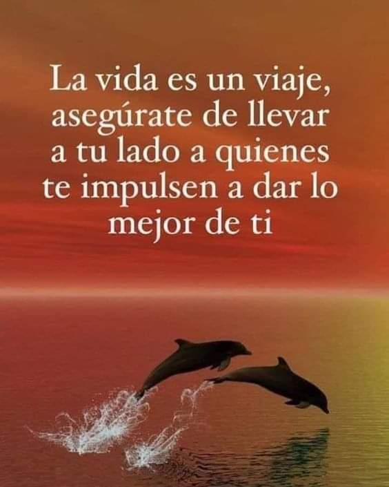 VidaEquilibrad4's tweet photo. https://t.co/vrlHis0qId