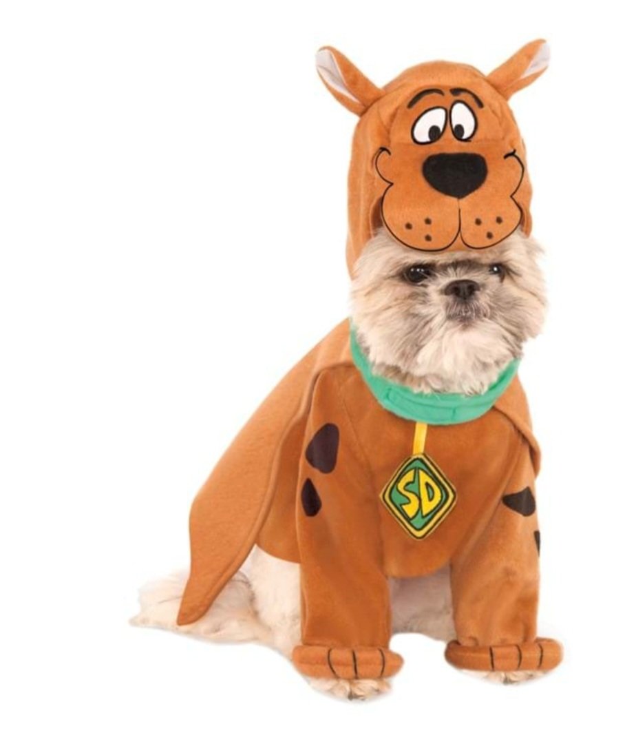 Dammitammy Productions tweet media