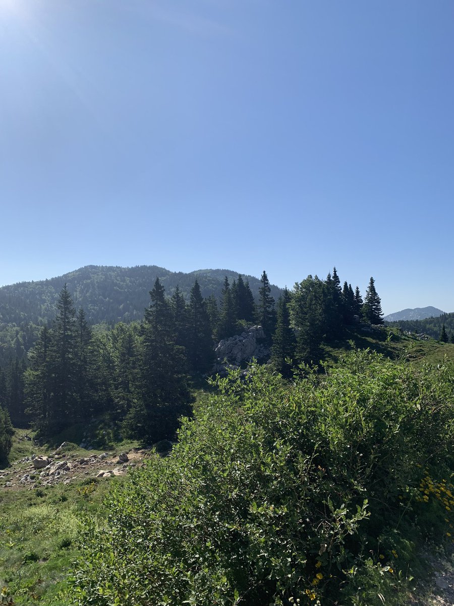 JirkaFukan's tweet photo. #severnivelebit https://t.co/Mn137HkXsM