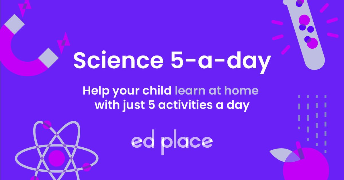 EdPlace_UK's tweet photo. What colour are your 👁️ and why? EdPlace teacher Ms Begum's free lesson will help your child understand all about variations ➡️ https://t.co/kI3h00qpgC

Sign-up for free to get your educational 5 a day!

#homeeducationuk #homeschoolinguk #sciencelessons https://t.co/sqonMizUqW