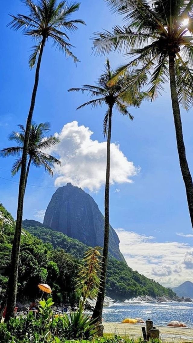 RXtZNdeTf2brS34's tweet photo. #QuartetoEmCy🇧🇷
暑っつ🌞💦
もう16時なのに少しも涼しくならないぞ😵💫🔥
Quarteto Em Cy - Querelas Do Brasil
🎧 https://t.co/wWnk8rtLn0 https://t.co/KpC8Tdnk3P