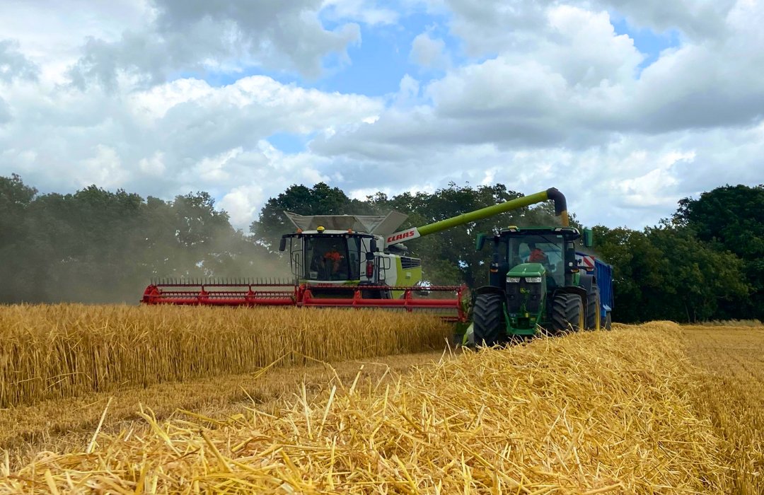 Harvest 2023 is underway! 

#combineharvester #harvest2023