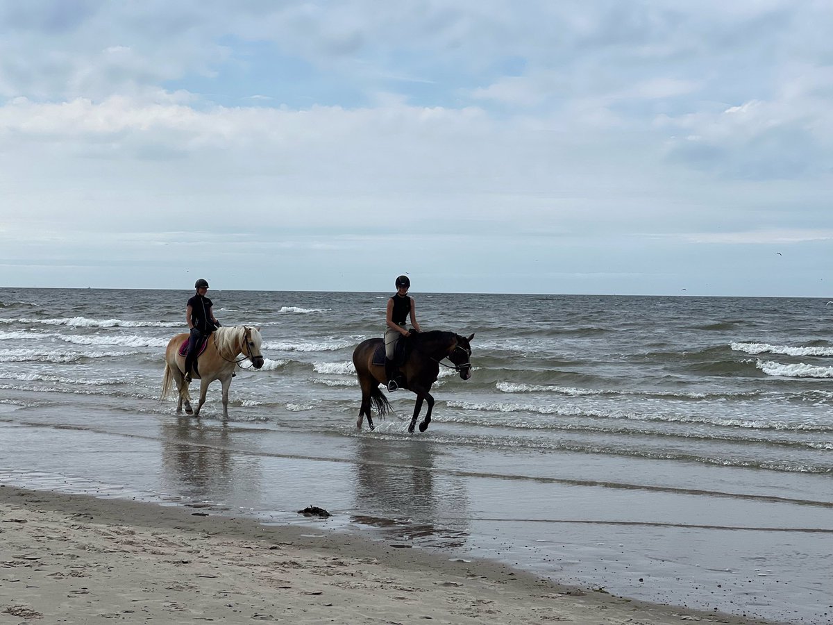 Guten Morgen ☕️🌹 wünsche euch einen schönen Start in die neue Woche. Möge sie euch viel Freude bringen 🍃🌹🍃
⭐️ Impressionen von der Insel Norderney ⭐️