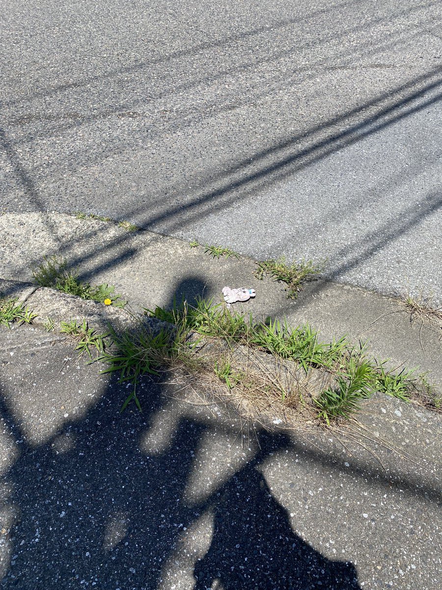 ktn9_t's tweet photo. (26)迷子おぱんちゅうさぎ

🔻発見状態🔻 
道端で転がっている状態。

🔻種類🔻
スマホグリップ(お店産)

スマホから
外れてしまったんでちゅかね😂

飼い主さん助けに行ってくだちゃい💦🙏

引用元↓
kuma3dieski 

#迷子おぱんちゅうさぎ
#おぱんちゅうさぎ https://t.co/T5ZMq17mvK