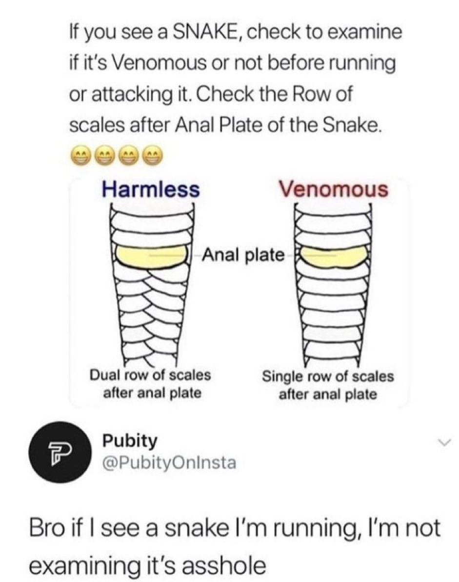 NotNewContent tweet picture