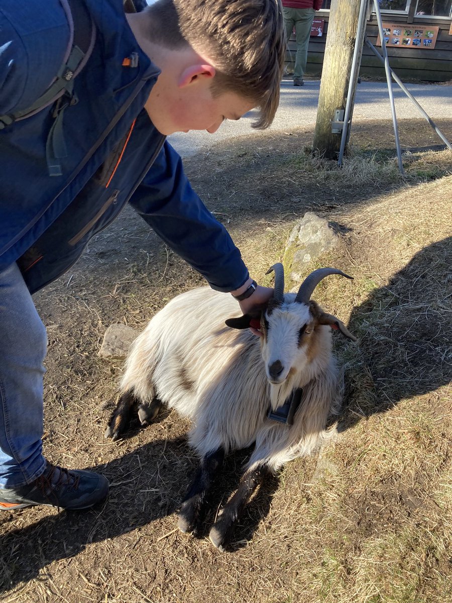 Sarah Foster tweet media