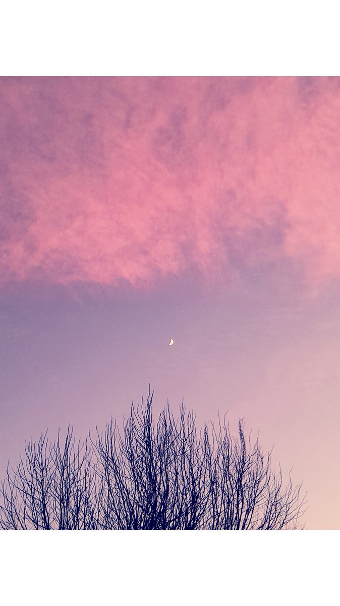 The moon is magic for her soul 

#moonphotography #morningmoon #pinkclouds #Moon #breakingtherules #sunrise #moonmagic