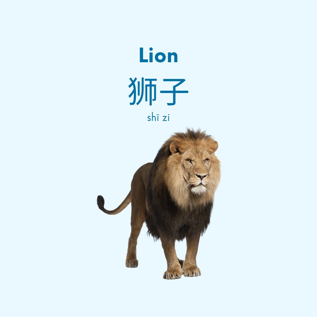 Mandarin_Matrix's tweet image. 🚨 Important Language Post 🚨  

Have you ever wondered about the difference between the radical 犬 (quǎn) and 犭(quǎn) as they are both pronounced the same but look different? 🐩  

More in the comments below 👇🏼

#MandarinMatrix #ChineseVocabulary #ChineseLessons