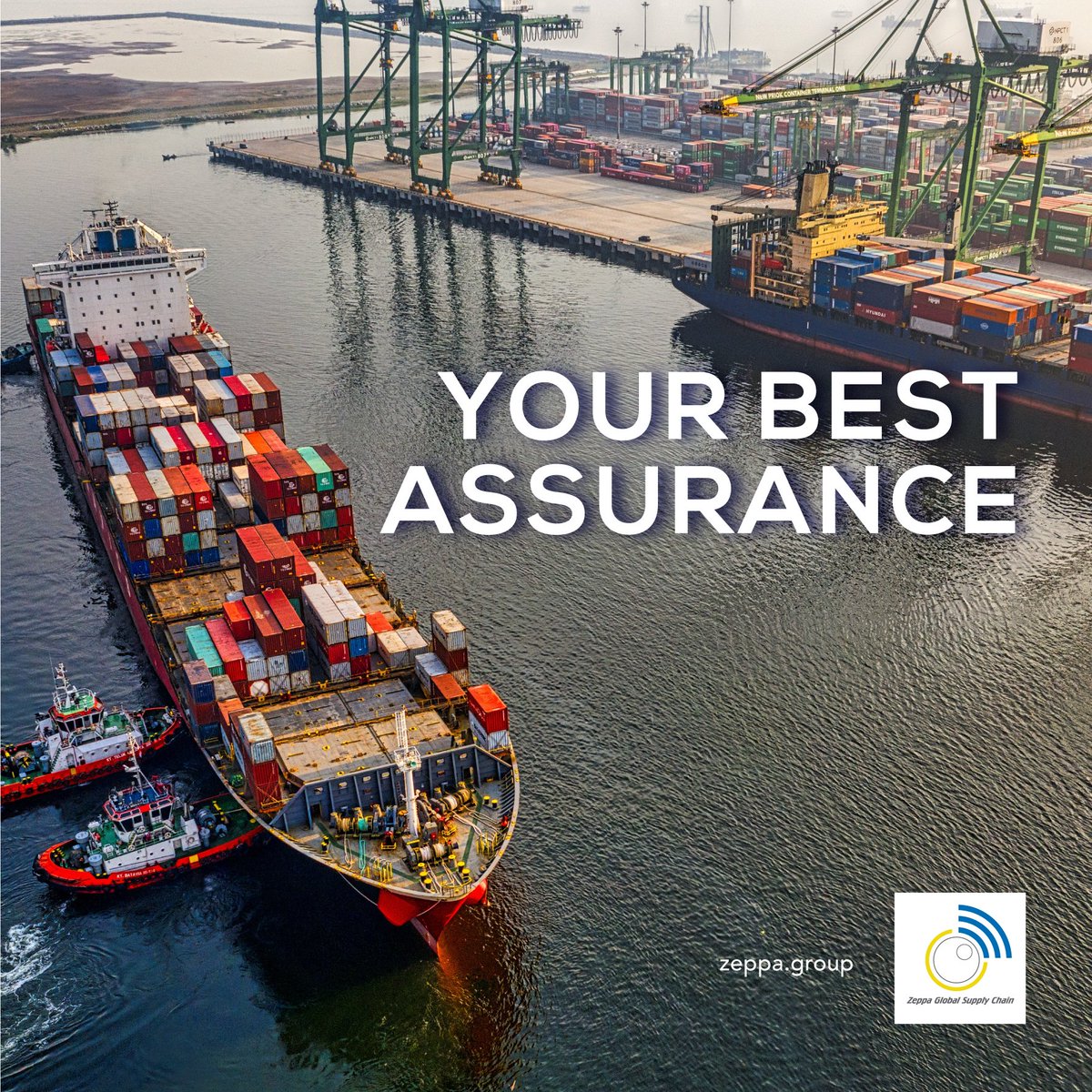 We create and provide solutions for your business industries around the world, breaking down all the barriers of #supplychain from demand to supply. 

Contact us now! zeppa.group/contact/
Follow us: facebook.com/ZeppaGlobalSup…