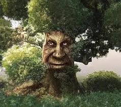 legueyenationa2's tweet photo. A force de discuter je suis 2 potes qui comptaient faire un truc ce soir mais je sais pas ce qu’on fait ni ou on va #oueskonva #keskonfai gros 😂

au final on se retrouve devant un arbre GIGANTESQUE et on commence a le grimper https://t.co/MYr3Jx5r7v